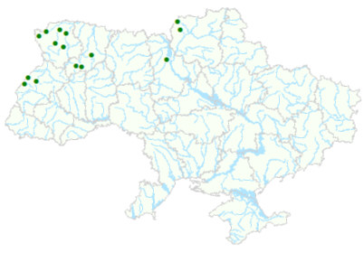 Карта рослинних угруповань