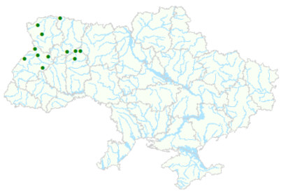 Карта рослинних угруповань