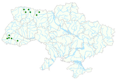 Карта рослинних угруповань