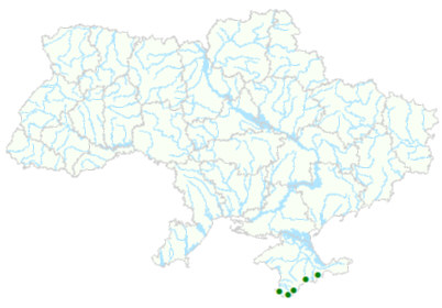 Карта рослинних угруповань