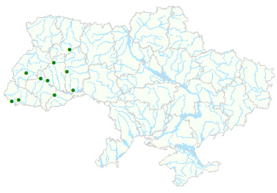 Карта рослинних угруповань