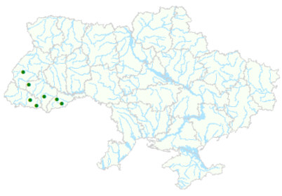 Карта рослинних угруповань