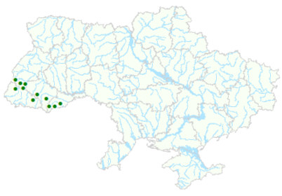 Карта рослинних угруповань