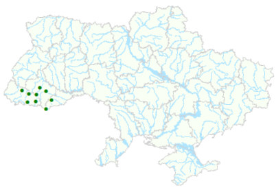 Карта рослинних угруповань