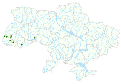 Карта рослинних угруповань